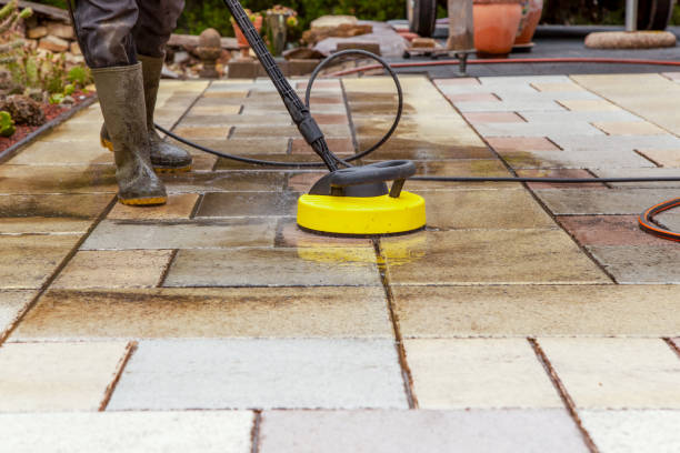 Best Winterizing Services  in Bartonvle, IL